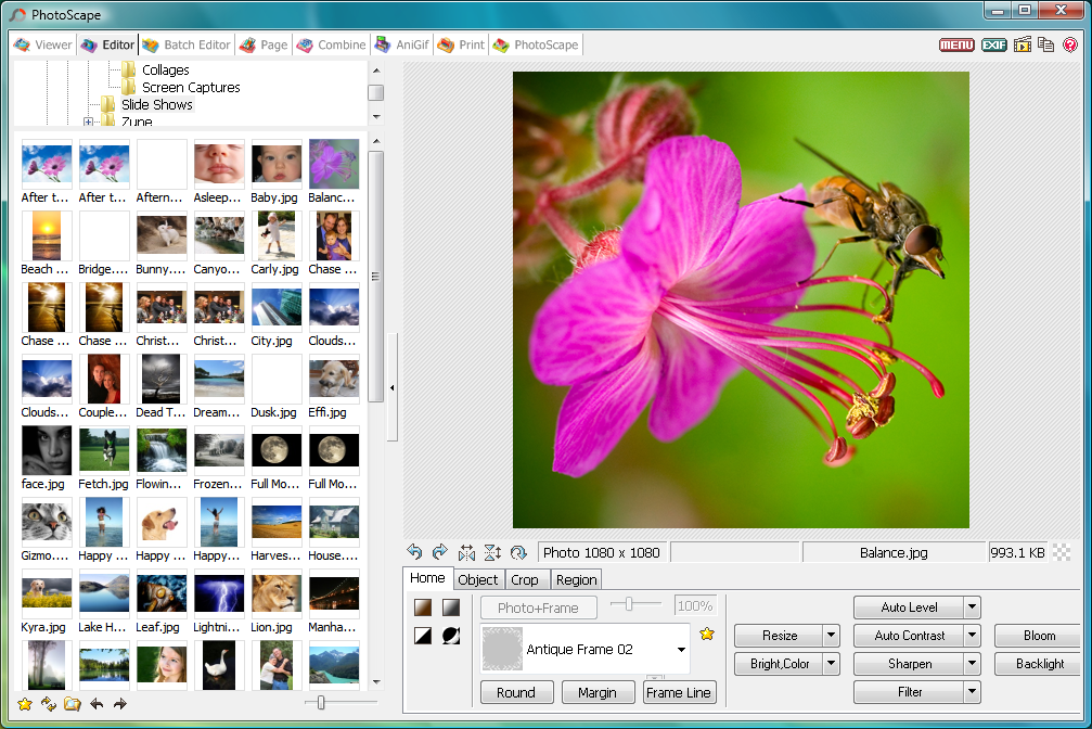 Free download photoscape 3.6 1 full version free